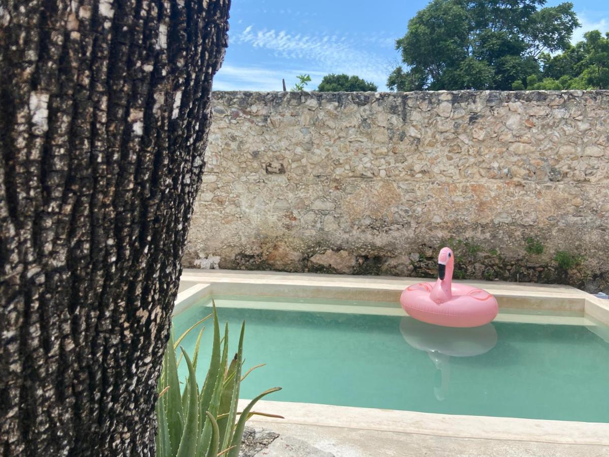 La Casa Rosal, Pool Vila Campeche Exterior foto
